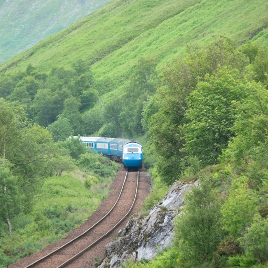 Train going through countryside
