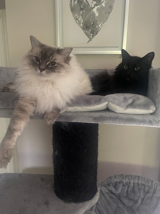 Eva and Harvey