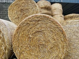 hay bales